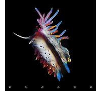Sub Focus - Evolve