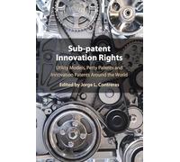 Sub-Patent Innovation Rights: Utility Models, Petty Patents and Innovation Patents Around the World