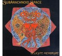 Subarachnoid Space - Delicate Membrane