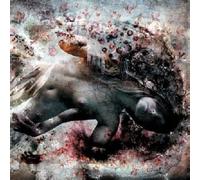 Subarachnoid Space - Eight Bells
