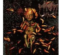 Sublime Cadaveric Decomposition by Sublime Cadaveric Decomposition