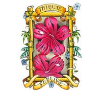 Sublime - Look At All The Love We Found