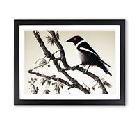 Sublime Magpie Bird Framed Print | A3 Black Framed Wall Art | Ready to Hang | Modern Nature Picture | Living Room Bedroom Lounge Office