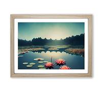 Sublime Water Lily Pond Framed Print | A2 Oak Framed Wall Art | Ready to Hang | Modern Floral Picture | Living Room Bedroom Lounge Office