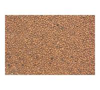 Substrate Reptiles Planet Repticlay