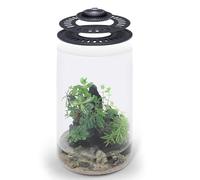 SubstrateSource Bio Cylinder - Glass Plant Terrarium Kit - Glass Terrarium w/LED Grow Light, Adjustable Ventilation Lid, Substrate, Moss & Accent Rocks - Bio Cylinder 150