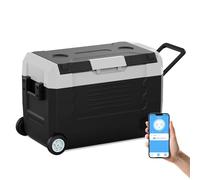 SubSun12V Cooler Car Fridge, 48QT -4℉~68℉ Fast Cooling Car Refrigerator, Portable Freezer with 12/24V DC and 110-220V AC, Electric Cooler for Camping, Road Trip and Boat