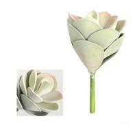 Subtle Greenery Accent Plant for Modern Interiors Including Studio Apartments Home Offices and Dorm Rooms (Green-Pink)