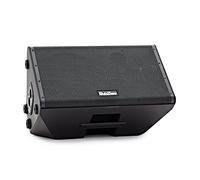 SubZero Praxis10 DSP Musicians Monitor