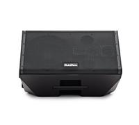 SubZero Praxis10 DSP Musicians Monitor