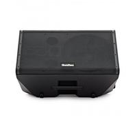 SubZero Praxis12 DSP Musicians Monitor