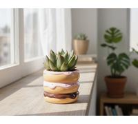 Succ Mixed Ceramic Happy Donut Pot Size 8 Cm Height 15 Succulent Mix In Planter Indoor Houseplant