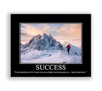 Success Demotivational Poster Snarky Ironic Funny Sarcastic Office Wall Decor Art Print 11x14 Inches Unframed