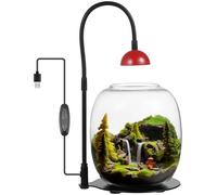 Succulent Air Planter Plus Lighted Glass Plant Terrarium, Timed Grow Lamp, Desktop Glass Vase Intended for Moss, Home Office Ornament, Garden Miniature Landscapes, Indoor Plants, Betta Fish