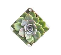 Succulent Botanical Car Air Freshener Hanging, Long Lasting Scented Car Aromatherapy Tablets, Rhombus Fragrance Scented Cards for Vehicles, Bedroom, Wardrobe Gray-style