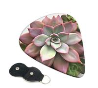 Succulent Botanical Guitar Picks 6 Pack with Leather Guitar Pick Holder Keychain, Plectrum Key Fob Cases Bag, Abstract Art Plectrum for Acoustic Electric Guitar, Ukulele 0.71mm
