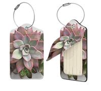 Succulent Botanical Luggage Tags for Suitcases, 4 PCS PU Leather Suitcase Tags Identifiers with Stainless Steel Loop, Privacy Cover ID Label with Address Card, Travel Essentials Bag Tag