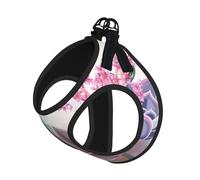 Succulent Cactus 1 Print Step in Dog Harness and Leash Set,Mesh Pet Vest Harness for Small Dogs and Cats