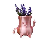 Succulent Cactus Flower Pots - Middle Finger Upward Design, Resin Flower Pots for Window and Desk Decor (Plants Not Included)