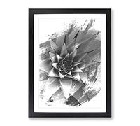 Succulent Cactus V1 Modern Framed Wall Art Print, Ready to Hang Picture for Living Room Bedroom Home Office Décor, Black A3 (34 x 46 cm)