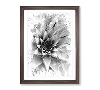 Succulent Cactus V4 Modern Framed Wall Art Print, Ready to Hang Picture for Living Room Bedroom Home Office Décor, Walnut A2 (64 x 46 cm)