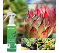 Succulent Fertilizer Succulent Feed Succulent Plant Food Promotes The Development Of Succulents, Succulent Care Essential Helps Speed Up Growth And Flowering(100ml) (1PC)