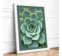 Succulent Geometry Botanical Framed Wall Art Print A4 (29.7×21cm) White, Wall Decor for Living Room, Bedroom, Office & Home, Ready to Hang, Art Gift