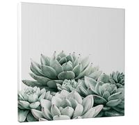 Succulent Greenery Canvas Wall Art, Muted Green Plant Poster Prints, Abstract Nature Wall Decor for Living Room, Bedroom, Bathroom, Dorm, Wrapped Canvas 12x12 Inch