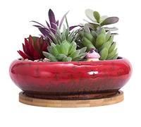 Succulent Plant Pot, 18.5CM Large Bonsai Pot with Tray Ceramic Succulent Pot with Drainage Hole Shallow Cactus Flower Pots for Indoor/Outdoor Plants Glazed Planter Bowl, Red