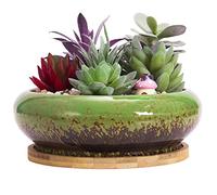 Succulent Plant Pot, 18.5CM Large Bonsai Pot with Tray Ceramic Succulent Pot with Drainage Hole Shallow Cactus Flower Pots for Indoor/Outdoor Plants Glazed Planter Bowl, Green