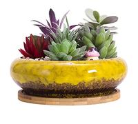 Succulent Plant Pot, 18.5CM Large Bonsai Pot with Tray Ceramic Succulent Pot with Drainage Hole Shallow Cactus Flower Pots for Indoor/Outdoor Plants Glazed Planter Bowl, Yellow