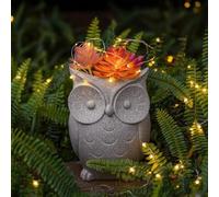 Succulent Plant Pot, Funny Owl Planter with Solar Light, plant pots outdoor, House Plants for Flower Cactus Garden Home Office, The First Choice Of Gardening Enthusiasts(Grey, R)