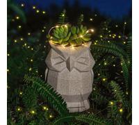 Succulent Plant Pot, Funny Owl Planter with Solar Light, plant pots outdoor, House Plants for Flower Cactus Garden Home Office, The First Choice Of Gardening Enthusiasts (Grey, D)