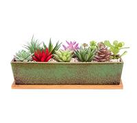Succulent Plant Pots, 30 CM Long Rectangle Succulent Plant Pots with Drainage Tray, Large Ceramic Cactus Flower Plants for Indoor/Outdoor Plants Shallow Bonsai Window Box Home Decor, Green
