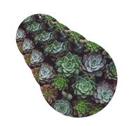Succulent Plants Car Air Freshener Cards for Women Men 4 Pack Cute Car Accessories Long Lasting Scent Car Diffuser Hanging Auto Aromatherapy Tablets Car Fresheners Gifts