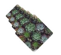 Succulent Plants Car Air Freshener Cards for Women Men 4 Pack Cute Car Accessories Long Lasting Scent Car Diffuser Hanging Auto Aromatherapy Tablets Car Fresheners Gifts