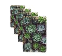 Succulent Plants Car Air Freshener Cards Set of 4 Pieces Long Lasting Hanging Scented Cards for Bedroom Wardrobe Car Aromatherapy Tablets for Men Women Rearview Mirror Pendant