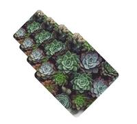 Succulent Plants Car Air Freshener Cards Set of 4 Pieces Long Lasting Hanging Scented Cards for Bedroom Wardrobe Car Aromatherapy Tablets for Men Women Rearview Mirror Pendant
