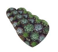 Succulent Plants Car Air Freshener Cards Set of 4 Pieces Long Lasting Hanging Scented Cards for Bedroom Wardrobe Car Aromatherapy Tablets for Men Women Rearview Mirror Pendant