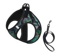Succulent Plants print Dog Harness and Leash Set, Reflective Adjustable Puppy Vest for Small Medium Large Dogs, Cats