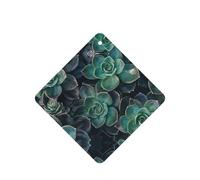 Succulent Plants Printing 10 Pcs Car Air Freshener Fragrant Sheets,Car Hanging Accessories With Strings For Decor