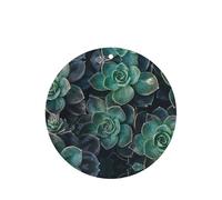 Succulent Plants Printing 10 Pcs Car Air Freshener Fragrant Sheets,Car Hanging Accessories With Strings For Decor