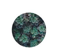 Succulent Plants Printing 10 Pieces Air Freshener Car Hanging Cards Air Freshener Sheets With Rope For Cars Home