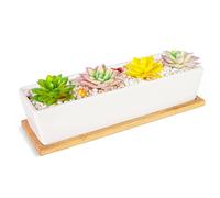 Succulent Pots - 12.1 Inch Large Succulent Pots with Drainage Tray, Window Sill Planter, Long Rectangle Ceramic Pots for Indoor Cactus/Succulent Plants Shallow Bonsai Window Box for Home Garden Decor