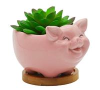 Succulent Pots, Cute Animal Pig Shaped Ceramic Cactus Flower Planters with Bamboo Tray -Plant Not Included (Pink, Medium)