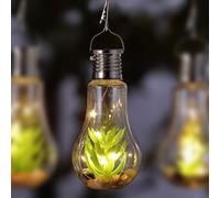 Succulent Solar Garden Lantern 5 Warm White LED - 14cm by Bright Garden