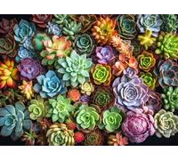 Succulent Symphony: Best 1000 Piece Jigsaw Puzzle for Adults - Premium Quality, Eco-Friendly, Colourful Artwork Puzzle by Cross & Glory - Brain Teasing Fun & Perfect Wall Art