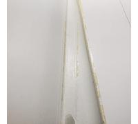 Succulents: The Illustrated Dictionary