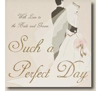 Such A Perfect Day Handmade Wedding Card - P35