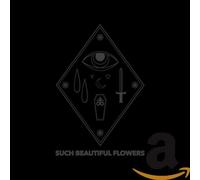 Such Beautiful Flowers - Neon Gloom